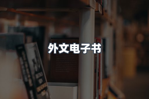 外文电子书